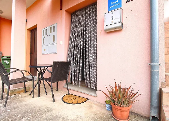 Sandra 1335 Pula